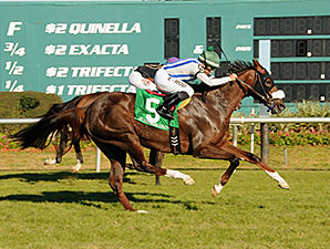 CloudScapesEndeavourStakes2014SV298
