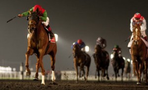 Animal Kingdom Dubai World Cup
