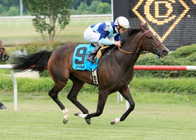 ARUNA_The-Edward-P-Evans-All-Along-(Grade-III)---14th-Running_06-18-11_CD-web