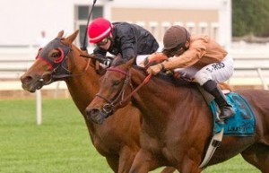 Strathnaver
