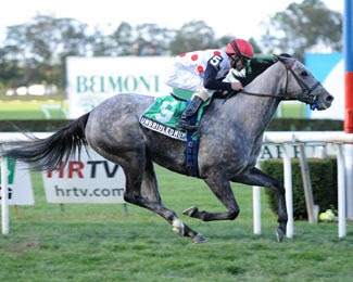 Unbridled-Humor-nyra