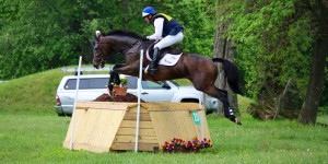 IC-3-