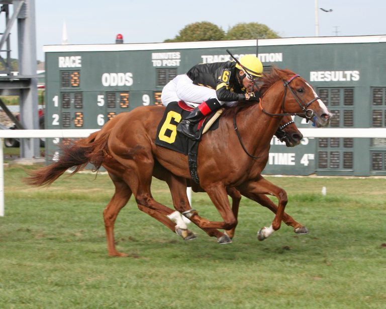 English Bee - The Parx Fall Derby