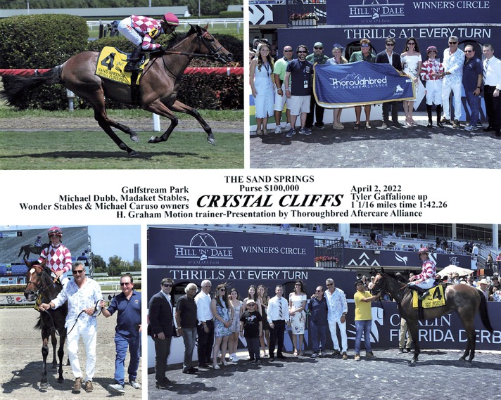 Crystal Cliffs (FR) - The Sand Springs Stakes