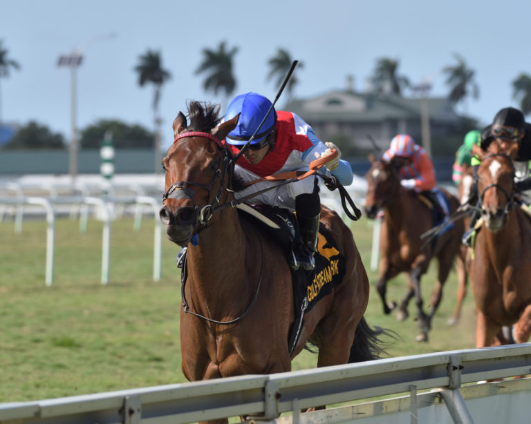 Mean Mary wins the Grade 3 Orchid stakes at Gulfstream Park on 3/28/20. Luis Saez up